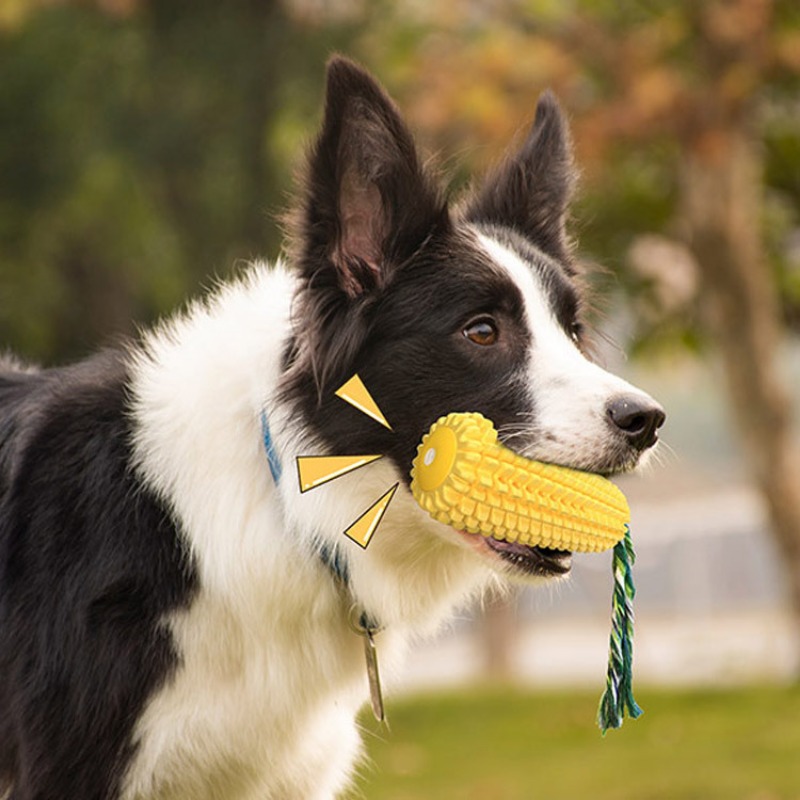 Squeaky Corn Dog Toothbrush Ch - Corn Dog Stick review and price